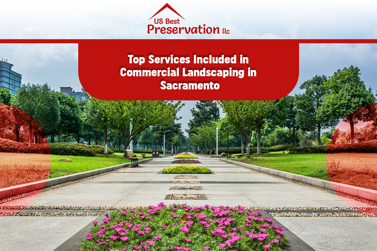 Top Services Included in Commercial Landscaping in Sacramento