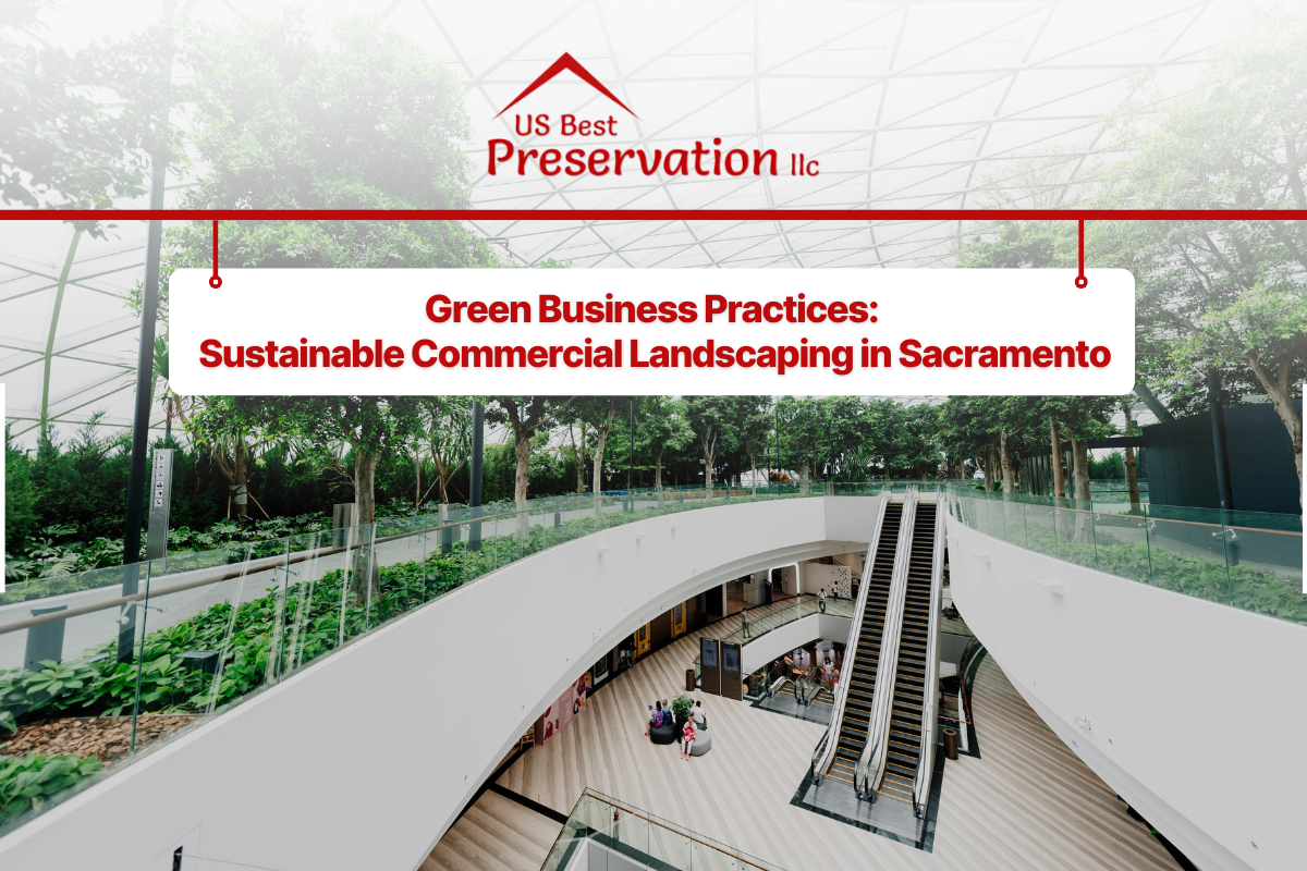 Green Business Practices: Sustainable Commercial Landscaping in Sacramento