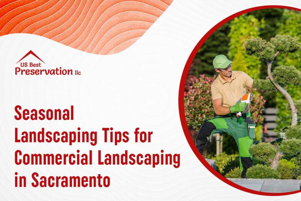 tips-for-commercial-landscaping-in-sacramento