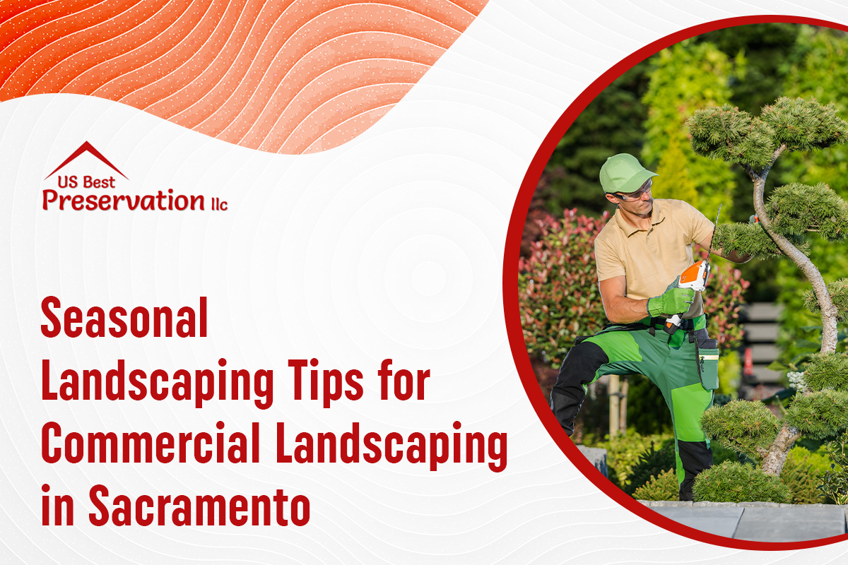 Seasonal Landscaping Tips for Commercial Landscaping in Sacramento